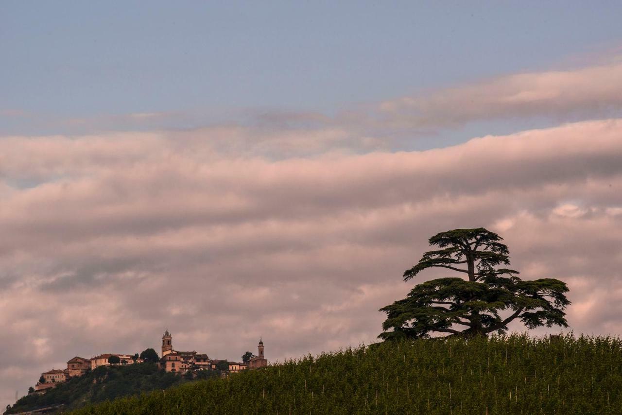 Villa Goccia Di Vino ลามอร์รา ภายนอก รูปภาพ
